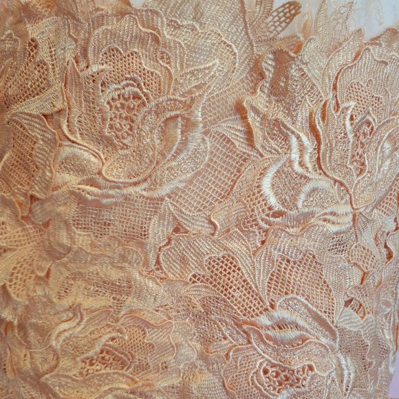 Parvenue Baby Pink Lace Dress - Picture 7 of 7